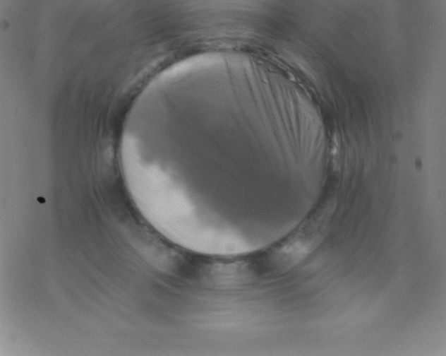 X0000076310314200610271946