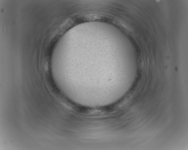 X0000076310315200610271946