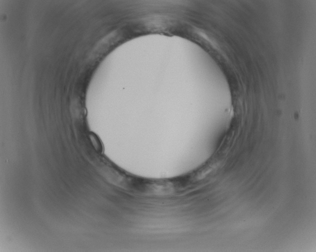 X0000076310317200610271946