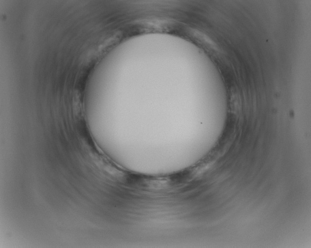 X0000076310318200610271946