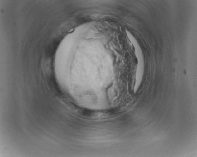 X0000076310319200610271946