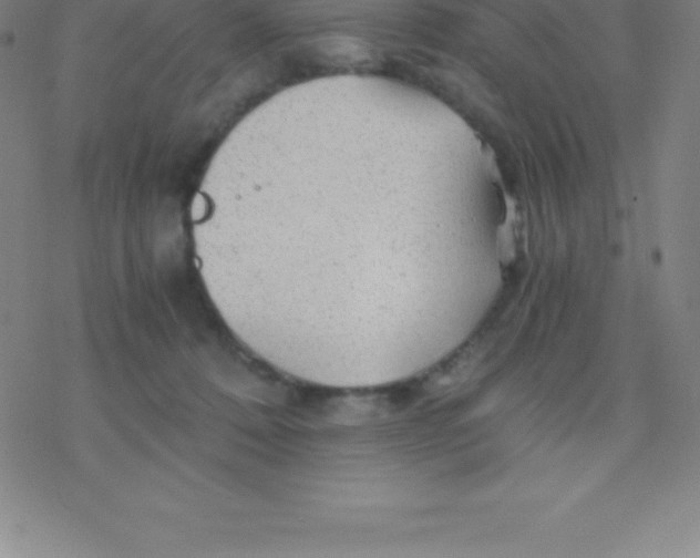 X0000076310320200610271946