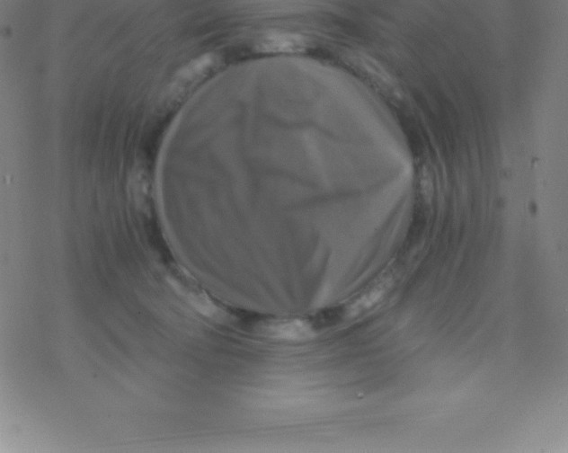 X0000076310322200610271945