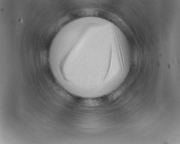 X0000076310326200610271945