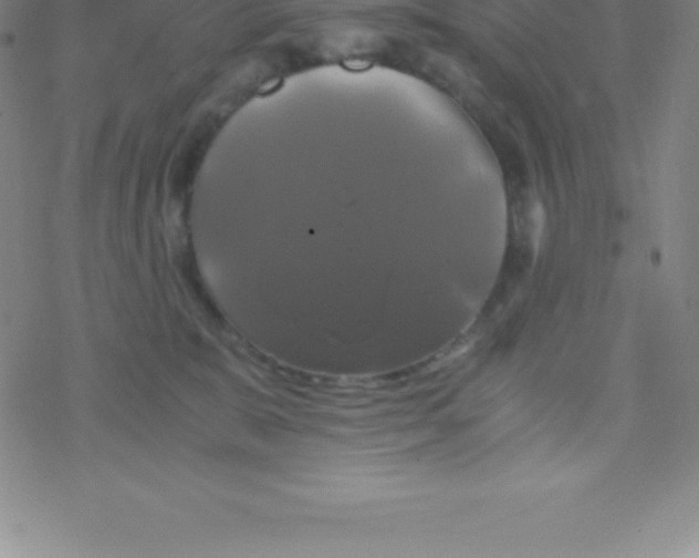 X0000076310327200610271945