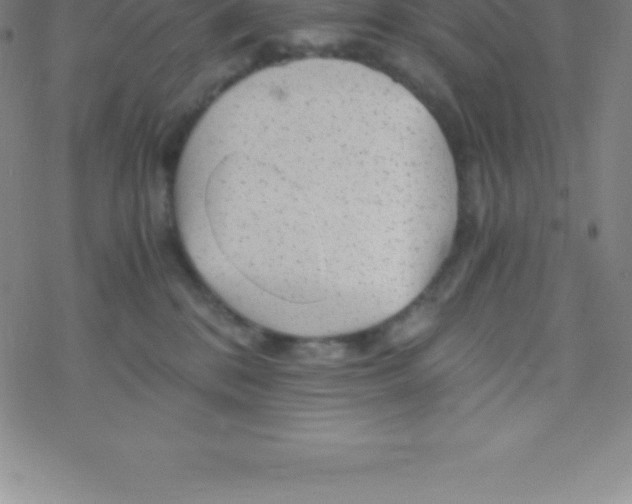 X0000076310328200610271945