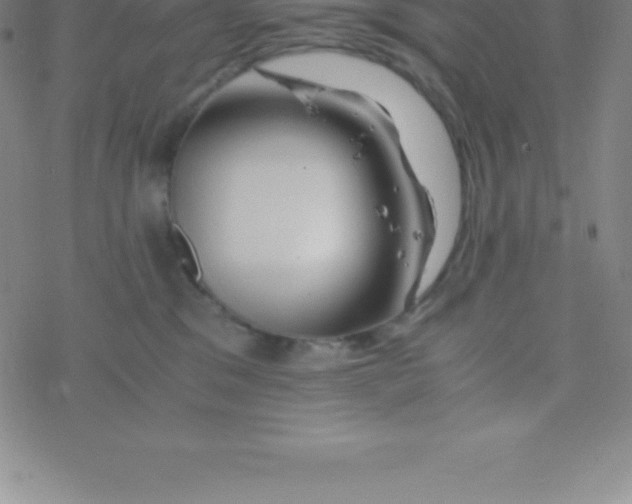 X0000076310329200610271945