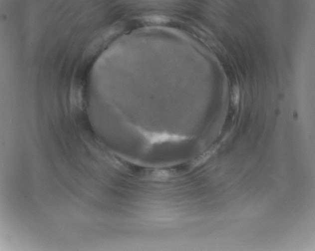 X0000076310330200610271945