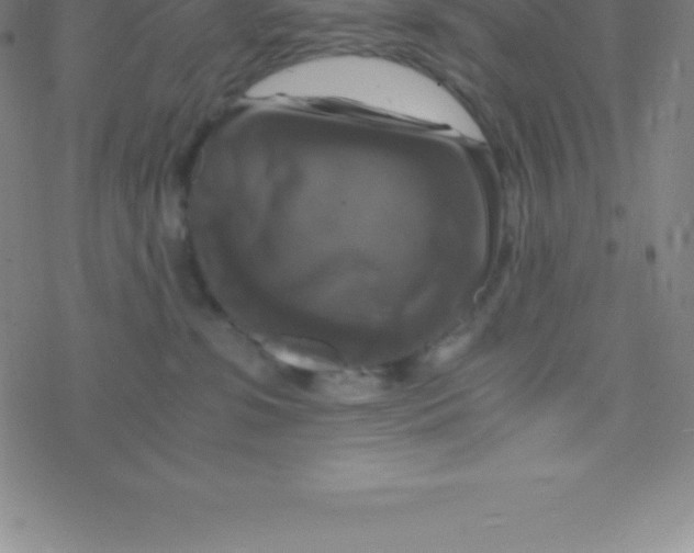 X0000076310331200610271945