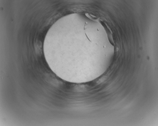 X0000076310332200610271945