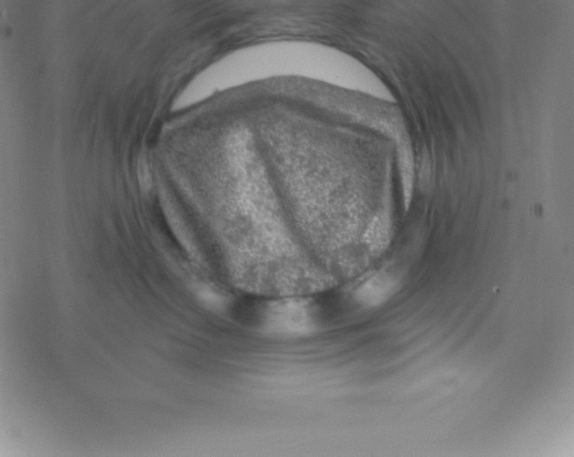 X0000076310335200610271945