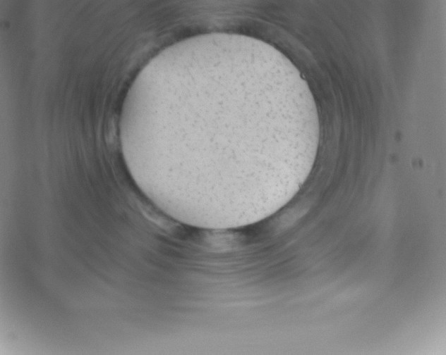 X0000076310336200610271945