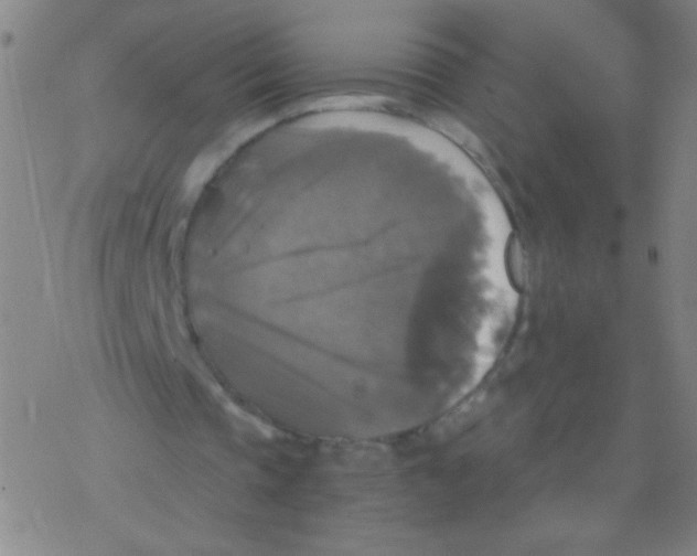 X0000076310337200610271944