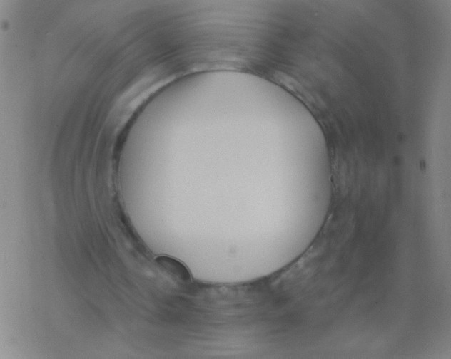 X0000076310338200610271944