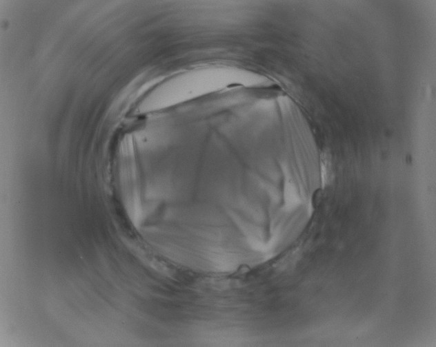 X0000076310339200610271945