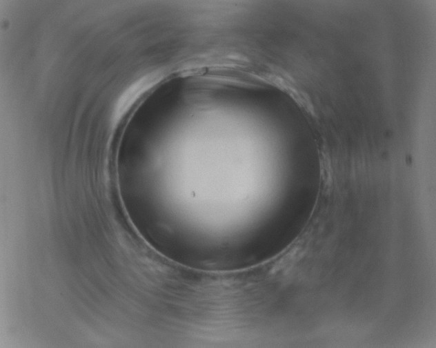 X0000076310340200610271945