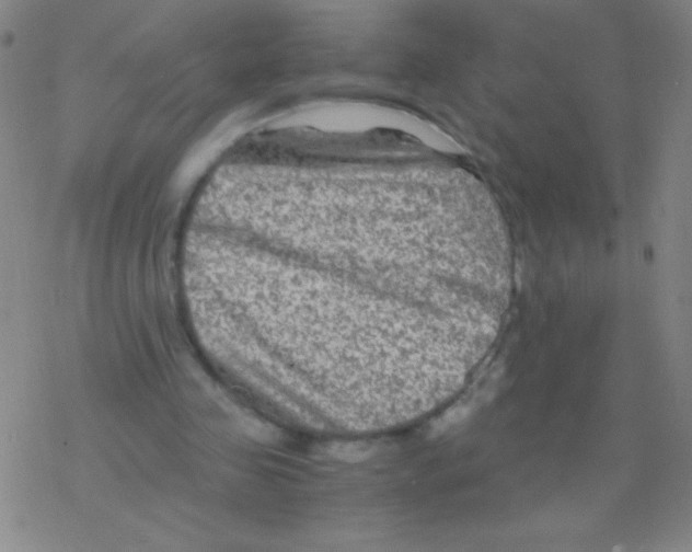 X0000076310341200610271945