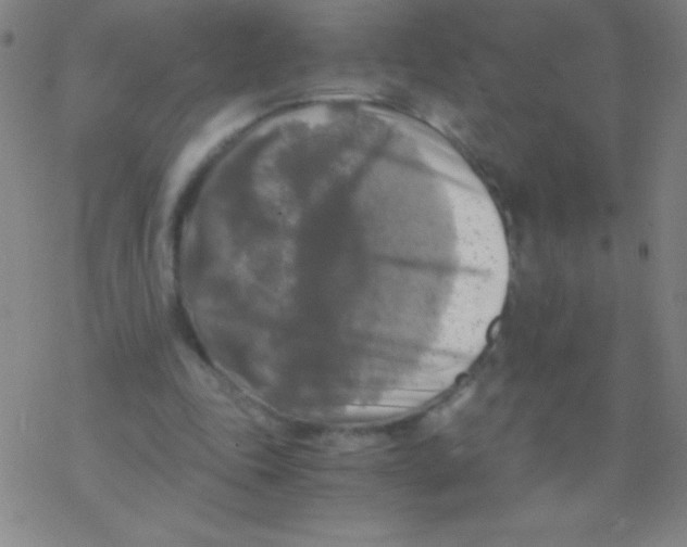 X0000076310343200610271945