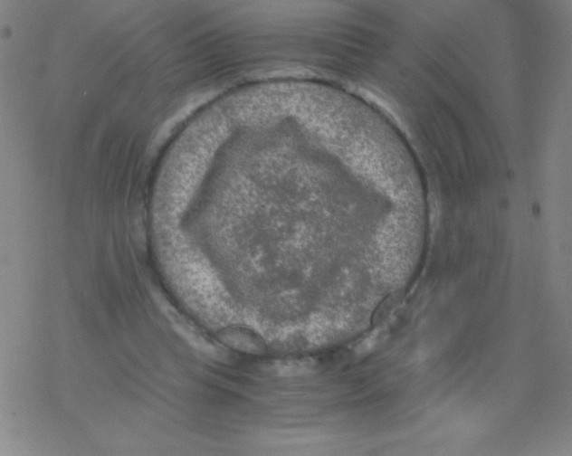 X0000076310345200610271945