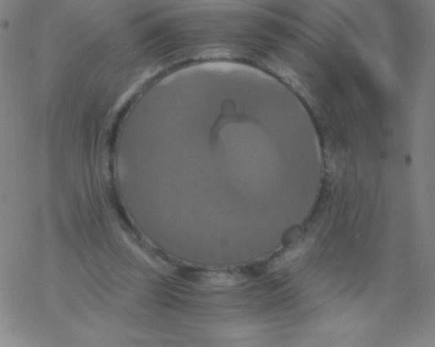 X0000076310347200610271945