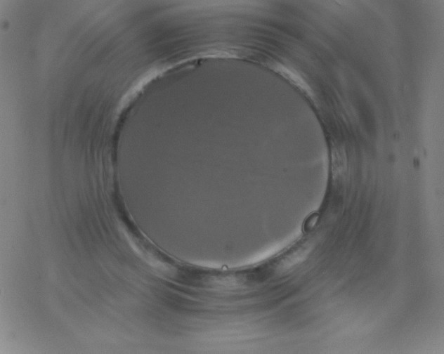 X0000076310349200610271945