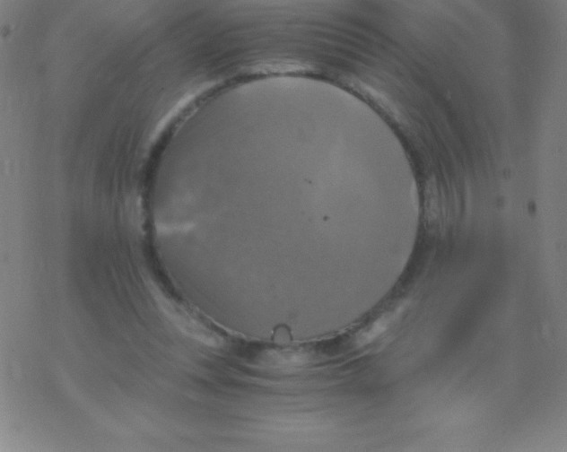 X0000076310351200610271945