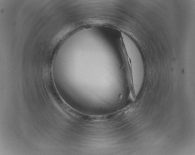 X0000076310352200610271945