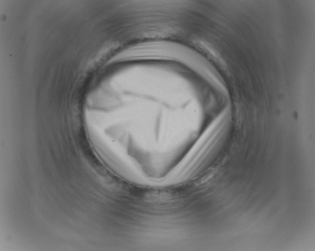 X0000076310354200610271945