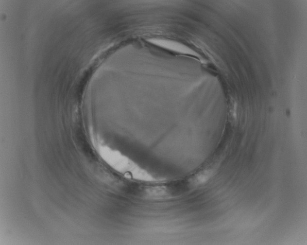 X0000076310355200610271945