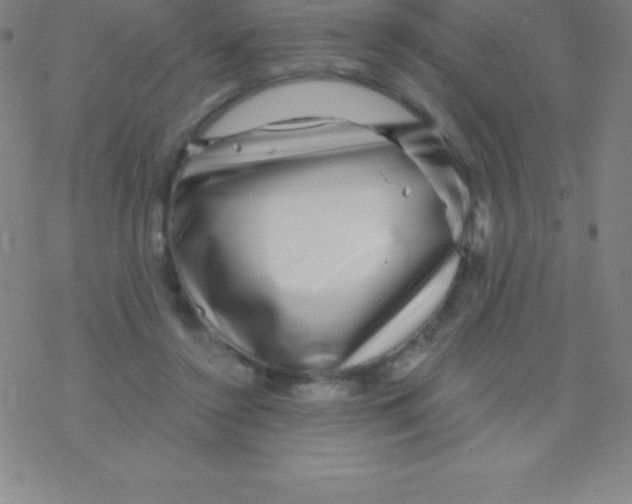 X0000076310356200610271945