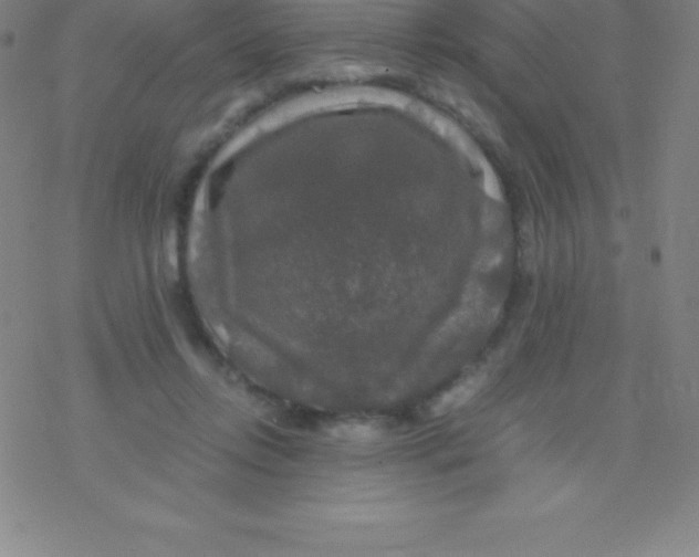 X0000076310358200610271945