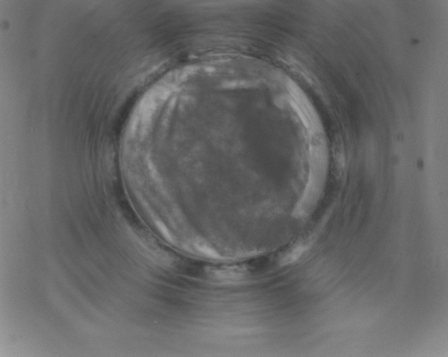 X0000076310359200610271945