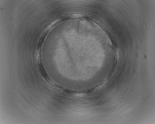 X0000076310360200610271945