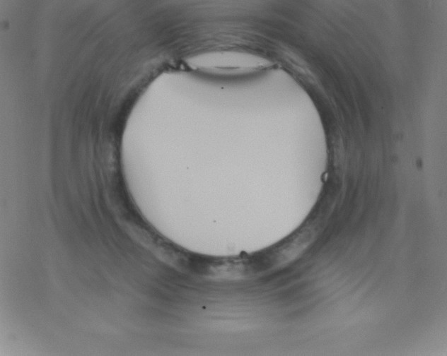 X0000076310362200610271945