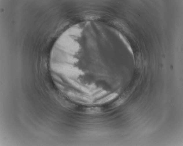 X0000076310363200610271945