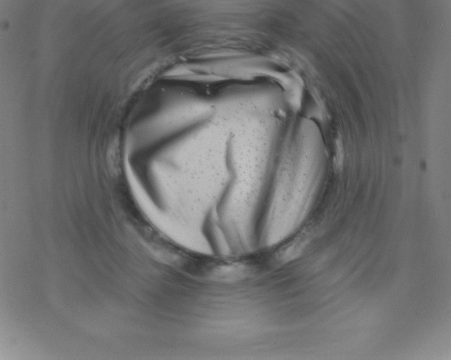 X0000076310364200610271945