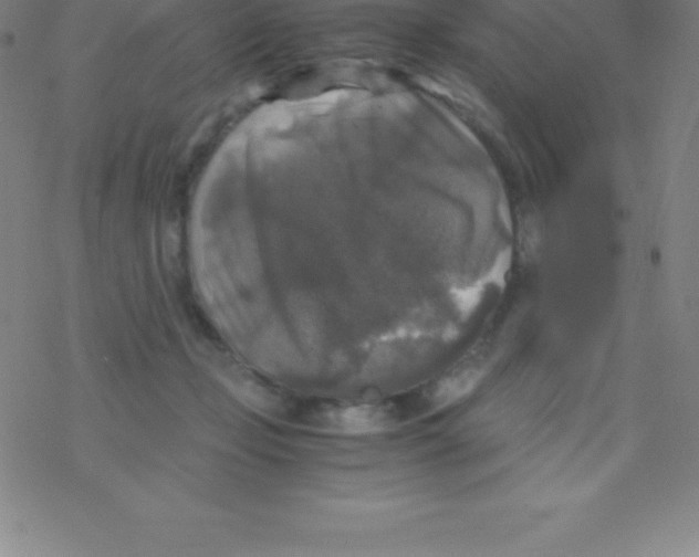 X0000076310365200610271945