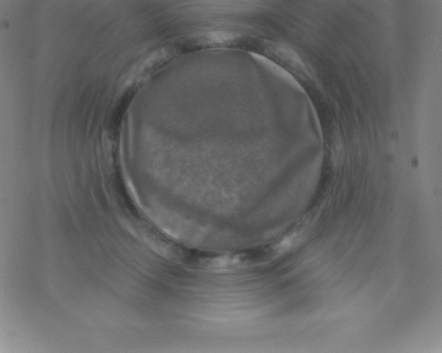 X0000076310366200610271945