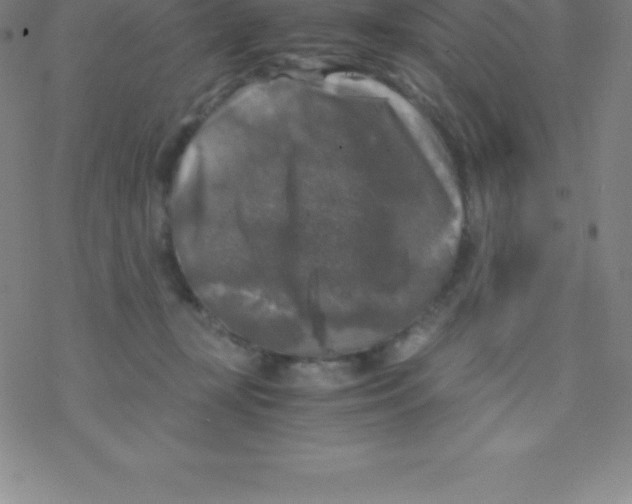 X0000076310367200610271945