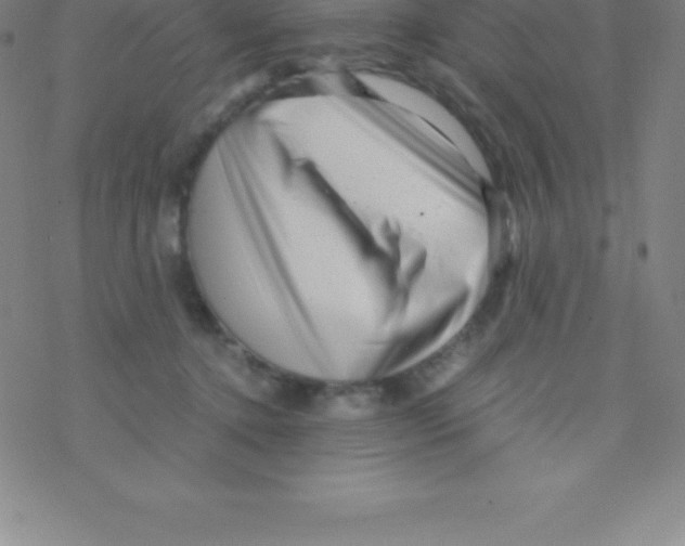 X0000076310368200610271945