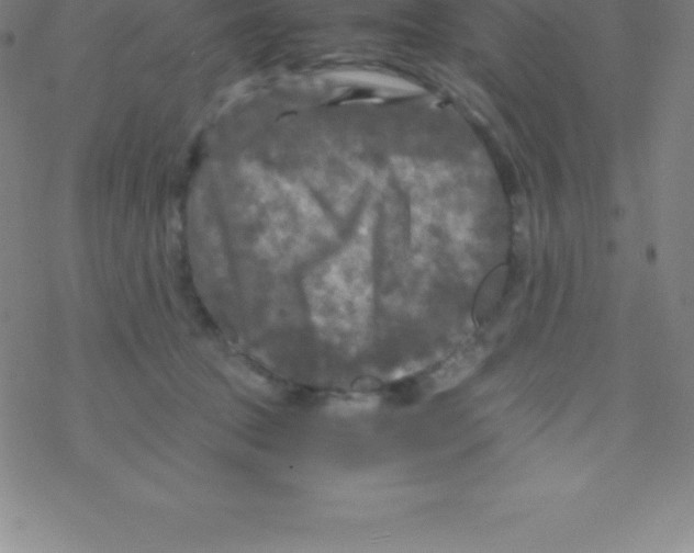 X0000076310369200610271945