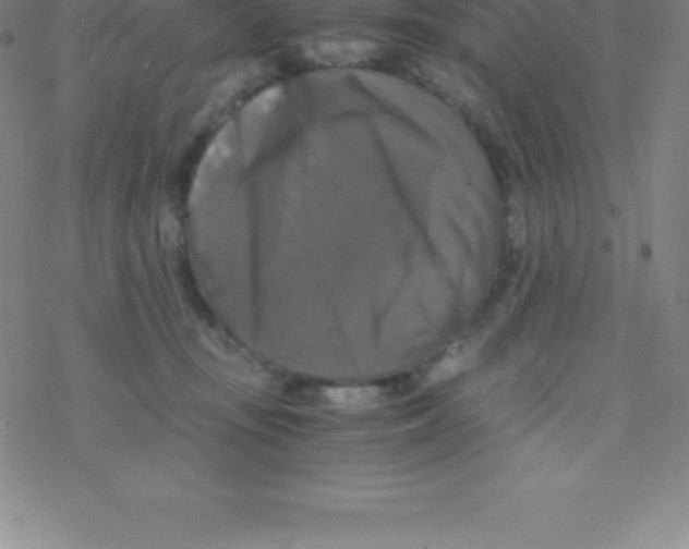 X0000076310371200610271945