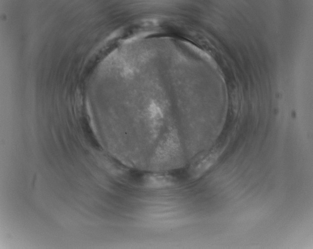 X0000076310372200610271945