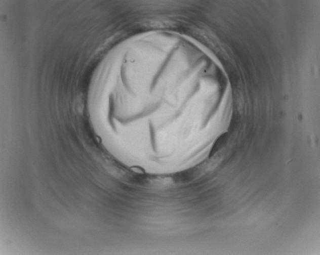 X0000076310374200610271945