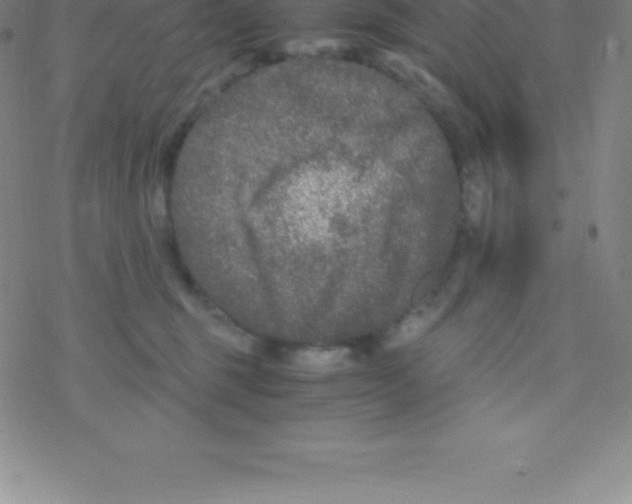 X0000076310375200610271945