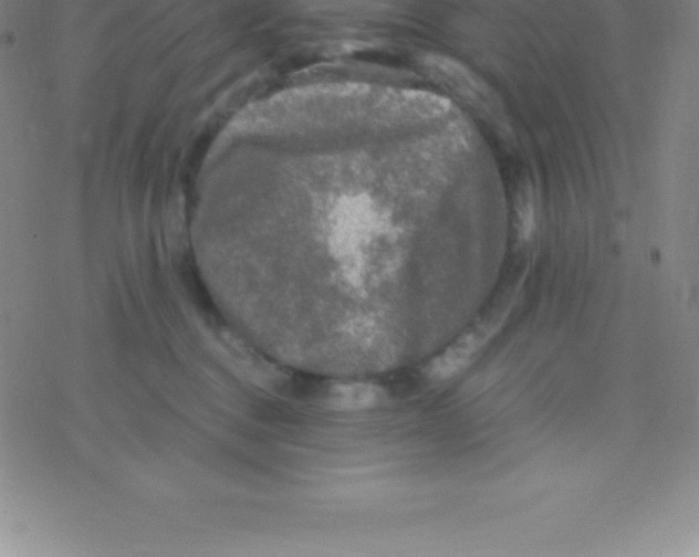 X0000076310376200610271945