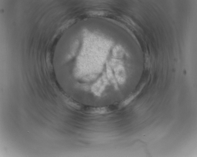 X0000076310377200610271945