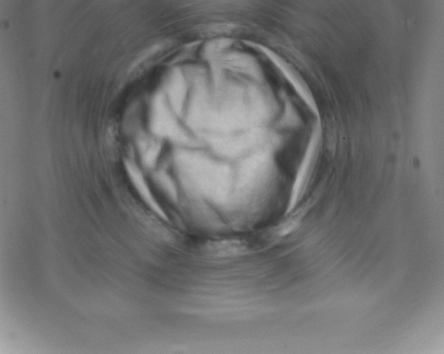 X0000076310378200610271945