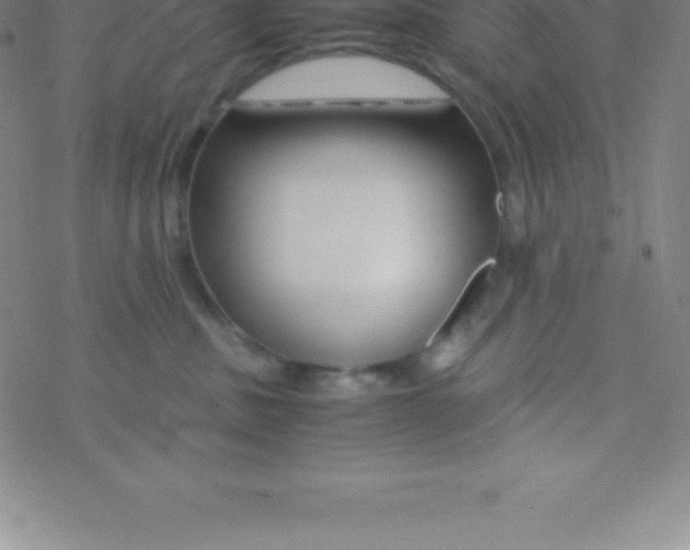 X0000076310379200610271945