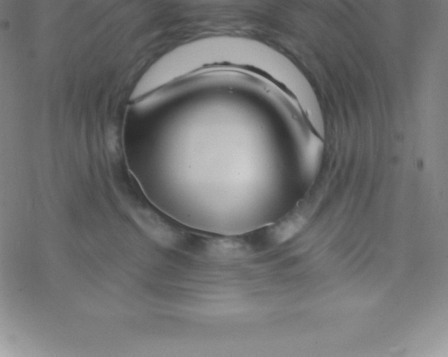 X0000076310380200610271945